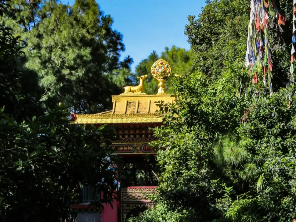 stan-tuladhar-EoJ9GzvFxk0-unsplash